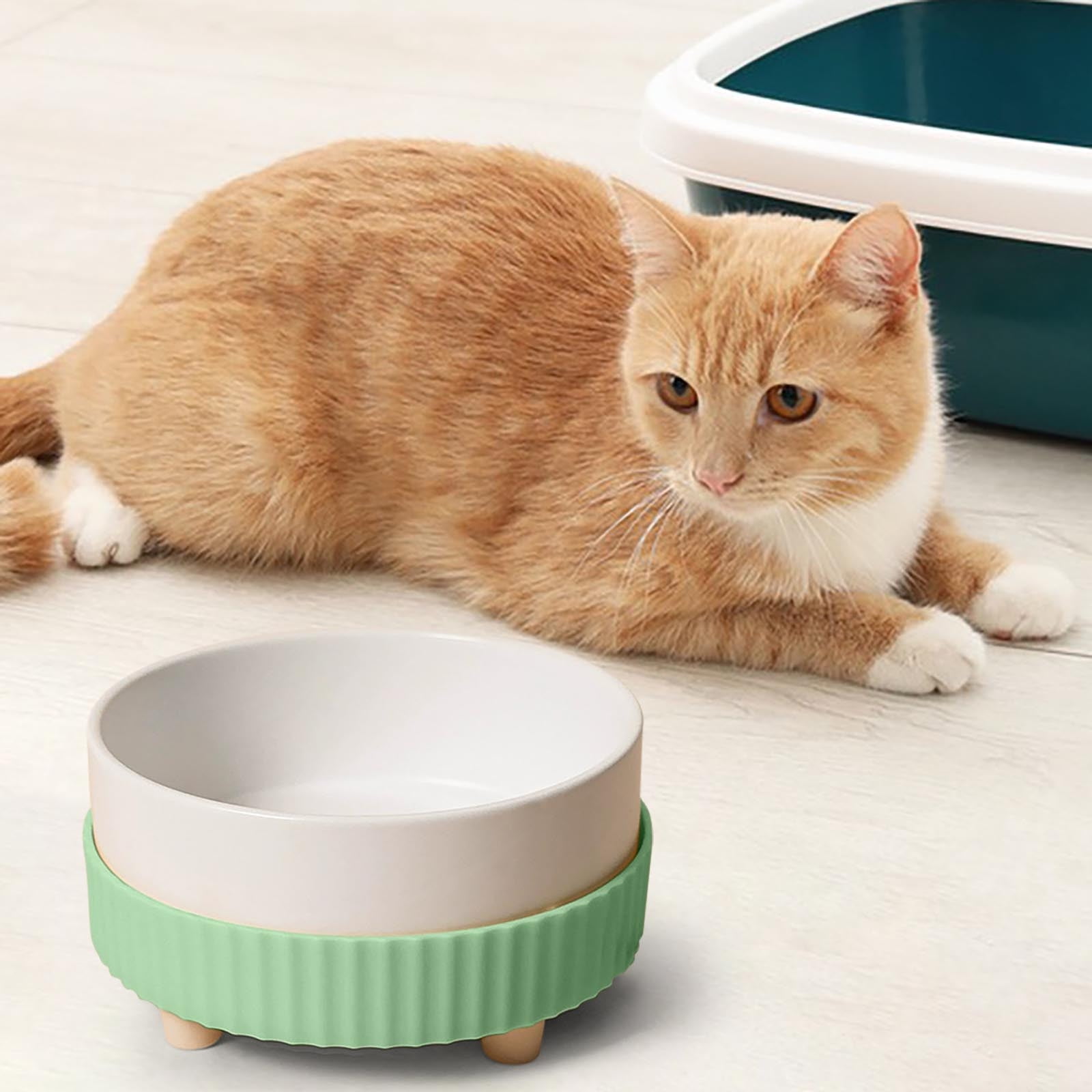 Ceramic Bowl With Constant Temperature Heating Drinking Bowl For Cats In Winter Food Bowl To The Cervical Spine Feeding Bowl