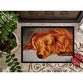 thumbnail image 3 of Carolines Treasures AMB1202MAT Tapis Intérieur Ou Extérieur Rouge Longhaired Dachshund - 18 x 27, 3 of 4