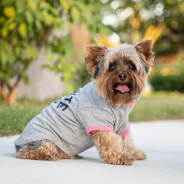 Vibrant Life Dog Clothes Favorite Child Spring Pet T Shirt Gray