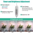 thumbnail image 4 of LED Grow Light with Timer for Indoor Plants, Full Spectrum Telescopic Desk Lamp for Succulents, Flowers, Greenhouse, Home Office Desk Decor - 3.5 Inch Base, Auto Off Timer Setting, 4 of 8