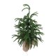 thumbnail image 1 of Árbol De Navidad Artificial, Mini Pino De Navidad Asamblea Rápida Y Almacenamiento Mini Xmas Pine Tree Taplap Centerpiec Para Casas Decoración De La Mesa De Comedor Interior, 1 of 7