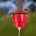 thumbnail image 1 of XINQIHANG Hummingbird Feeder Heater for Outdoors, Heated Hummingbird Feeders, Bird Feeder Heater Attaches to Feeder Bottom for Feed Hummingbirds in Winter Freezing Weather (Feeder Not Included), 1 of 7