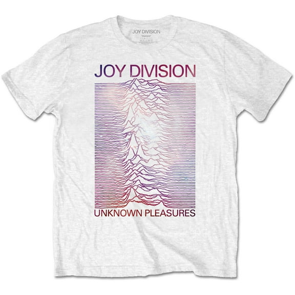 Joy Division Unisex T-Shirt Space - Unknown Pleasures Gradient (Small)