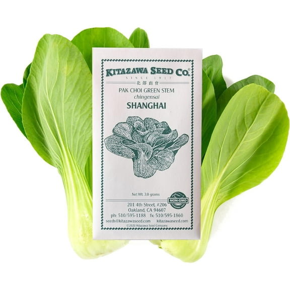 Cabbage Seeds - Pak Choi - Shanghai -3 g Packet ~648 Seeds - Non-GMO, Heirloom - Asian Garden Vegetable & Microgreens