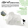 thumbnail image 4 of Bloque Cristal Cuadrado Para Afeitado 90gr Sin Color 12 u/pqt, 4 of 7