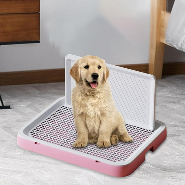 Puppy potty training supplies hotsell