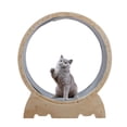 thumbnail image 3 of Queroig Cat Running Wheel with Locking Mechanism Bite/Scratch Resistant Steady Rotation Easy Assembled Ultra-Quiet Running Cat Exercise Wheel Indoor Cat Toy Cat Furniture, 3 of 7