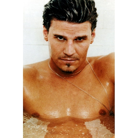 David Boreanaz Poster 16x24 Poster Medium Art Poster 16x24 Unframed, Age: Adults, Rectangle Best Posters