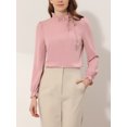 thumbnail image 3 of DARING DIVA Women's Spring Blouse Long Sleeve Ruffle Tie Neck Business Top XS Pink, 3 of 6