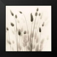 thumbnail image 2 of Blaustein, Alan 20x20 Black Modern Framed Museum Art Print Titled - Italian Tall Grass No. 1, 2 of 5