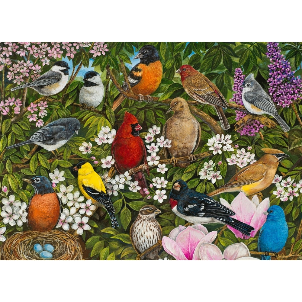 Garden Birds 1000 Piece Puzzle, Puzzles by Willow Creek Press Walmart
