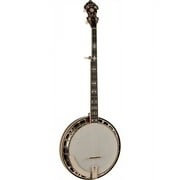 Recording King - The Elite 5-String Banjo