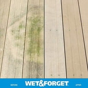 Wet & Forget Outdoor Moss, Mold, Mildew, Algae Stain Remover Multi-Surface Cleaner, Ready to Use, 64 Fluid Ounces, 4 Pack