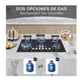 thumbnail image 2 of Parrilla De Gas Empotrables Estufas 6 Quemadores Cristal Templado Color Negro Gas Lp O Gas Natural, 2 of 5