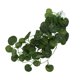 thumbnail image 1 of Plantas de reptiles para terrorio, Enredaderas de reptiles plátulas de reptiles terrorio de selva flexible y plantas flexibles colgantes enredaderas hojas artificiales, 1 of 7