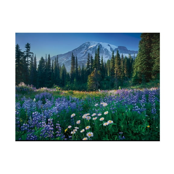 Alan Majchrowicz 'Mount Rainier' Canvas Art