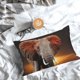 thumbnail image 5 of Fotbe Elephant Sunset in Kenya Funda de Almohada Decorativa Estilo Occidental, Lujo en Algodón, Fundas para Almohadas King, Cojín Estampado para Decoración del Hogar-20"x30", 5 of 6
