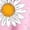 Pink, variant on Graphic Hoodie for Women Cute Flower Print Long Sleeve Preppy Y2K Oversized Pullover Casual Lounge Hooded with Pocket