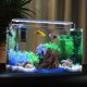thumbnail image 1 of BESTYASH Para Acuario Madera Artificial De Resina Con Refugio Natural Para Peces Y Reptiles Multicolor, 1 of 6