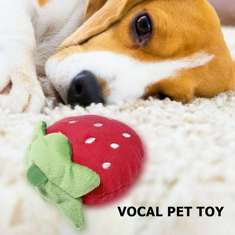 Pet Squeaky Plush Dog Toy, Plush Strawberry Dog Toy