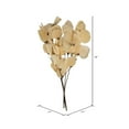 thumbnail image 3 of Vickerman 13.5-17" Bleached Dried Moneta Leaf on Twig Bundle, Preserved., 3 of 5