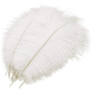 Hapeisy 10pcs White Natural Ostrich Feathers for Party, Wedding, Masquerade  and Home Decorations Crafts 