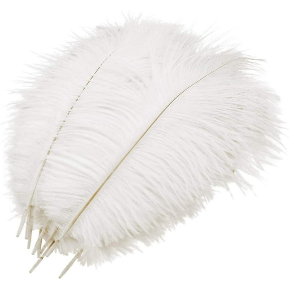 10 Pcs Natural Ostrich Feathers, Ostrich Feather Plume for Wedding Party Festival Table Centerpiece Decoration (White, 25-30cm)