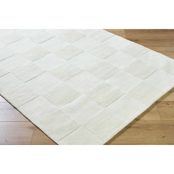 Canice Bohemian, Transitional Area Rug - Light Silver - 3'11" x 5'7"