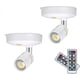 thumbnail image 1 of Focos inalámbricos Luces para cuadros con pilas Mini luces decorativas Foco LED regulable para interiores con control remoto en cualquier lugar Guerra de pared giratoria, 1 of 3