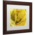 thumbnail image 2 of Trademark Fine Art "Inside a Beautiful Tulip" Canvas Art by Kurt Shaffer, White Matte, Wood Frame, 2 of 4