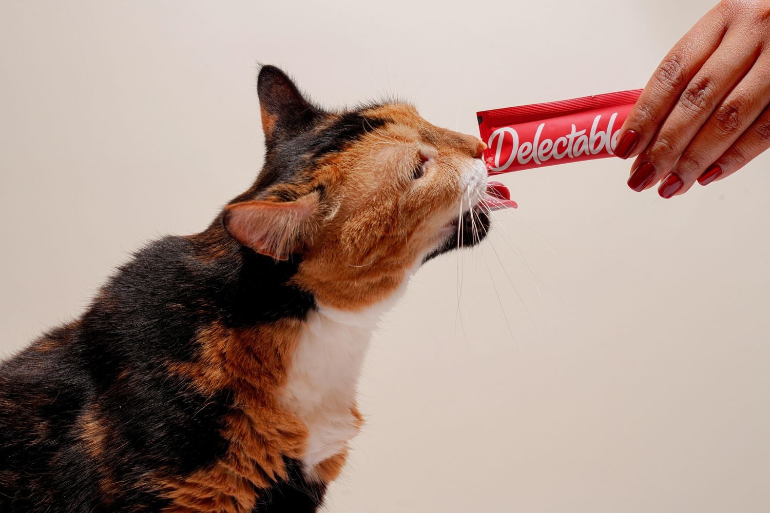 Friandises pour chats Delectables Squeeze up, paquet de 48 48 x 14g