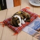 thumbnail image 4 of MUñeca de Gato de Simulación, Juguete de Gato Durmiente Con Sonido, Animal de Peluche de Gato y Negro para Niños, Juguete para decora de, 4 of 7
