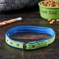 thumbnail image 3 of Vibrant Life Metal & Nylon Safety Dog Collar, Blue, Medium, 3 of 7