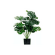 thumbnail image 1 of Plantas De Palma Artificial Hojas Tortuga Sintética, 1 of 3