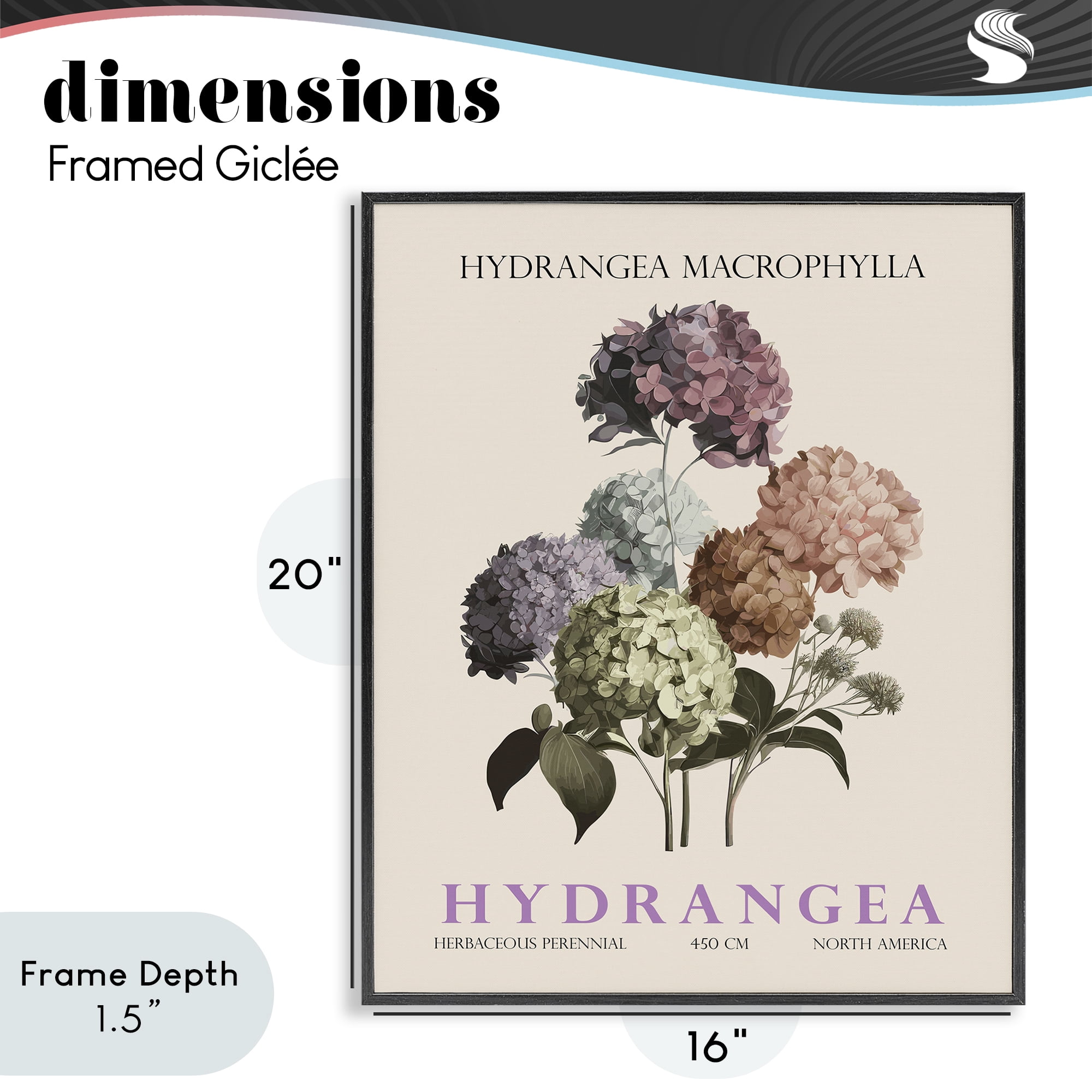 Stupell Industries Nature Hydrangea Bundle Black Framed Giclee Art, design by Christopher Giampietro