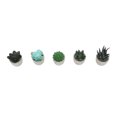 thumbnail image 4 of 5 piezas de plantas suculentas artificiales en macetas Surtido Mini suculentas decorativas falsas en macetas Plantas falsas Suculentas en macetas de pulpa de papel, 4 of 10
