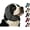 Black, variant on Zenpup, Zen Pup Noise Cancelling Ear Wrap, Calm Paws Ear Muffs Shield