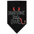 thumbnail image 2 of Pet and Dog Bandana Screen Printed, "Handsome Little Devil", 2 of 6