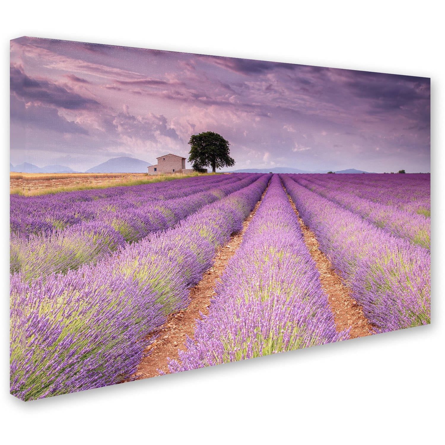 Stone House' Canvas Art by Michael Blanchette Photography
