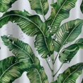 thumbnail image 5 of Orinice  Palm Leaf Shower Curtain Set Tropical Hawaii Jungle Aloha Palm Tree Banana Leaves Shower Curtains Home Decorative Waterproof Polyester Fabric Hooks  69x72, 5 of 7