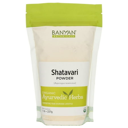 Banyan Botanicals Organic Shatavari Powder – Asparagus racemosus – Ayurvedic Herb for Vata & Pitta, Balanced Female Hormones, Energy, Vitality & More* – 1/2lb. – Non-GMO Sustainably Sourced Vegan