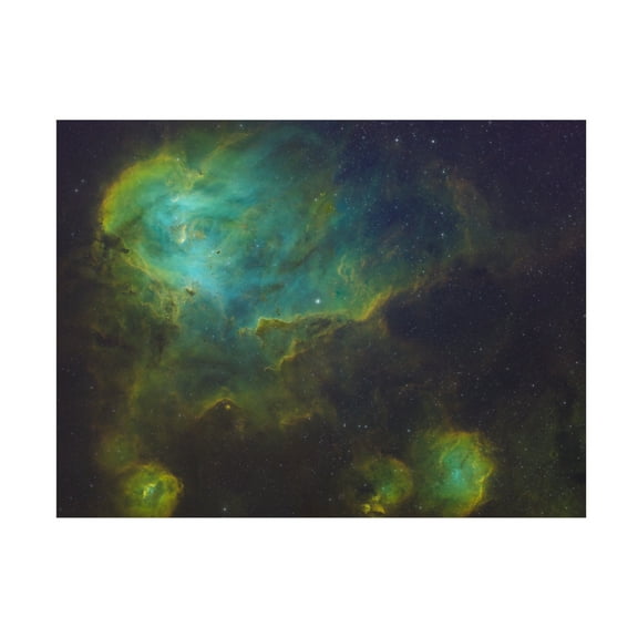 Trademark Fine Art James Zhen Yu Running Chicken Nebula Canvas Wall Art