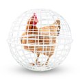 thumbnail image 4 of Poulailler Mobile en Forme de Balle, Cage Ronde Roulable pour Poules d'Extérieur, Filet de Marche Sécuritaire pour Pigeons Lapins Canards, Cage Balle de Sécurité pour Poules pour la Sécurité des Animaux de Compagnie Ferme Extérieure, Cage Mobile en Forme de Balle pour Animaux Volaille, 4 of 9