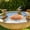 D, variant on Seyotauo Solid Copper Disk for Bird Bath Cleaner, Pure Copper Round for Outdoor Water Basin Algae Control, Natural Algaecide Disk for Garden Birdbath Water Care