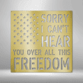 thumbnail image 2 of All This Freedom Sign Steel Sign Laser Cut Powder Coated Home & Office Metal Wall Decor Multiple Sizes & Colors, 2 of 5