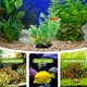 thumbnail image 2 of KAKOWELY plantas artificiales decorativas resistentes al desgaste para acuarios, decoraciones reemplazables., 2 of 5