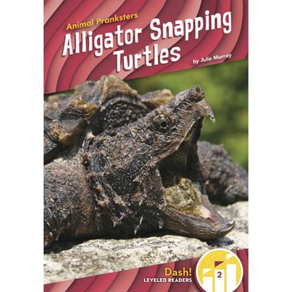 Pre-Owned Alligator Snapping Turtles (Paperback) 1644947595 9781644947593