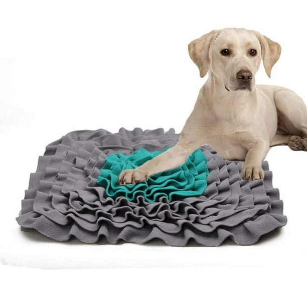 Brain stimulating cheap dog toys