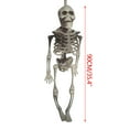 thumbnail image 3 of Halloween Decoration Outdoor Halloween Skeleton Glow in The Dark Plastic Posable Skeleton with Movable Joints,Small Hanging Skeletons for Halloween Indoor Decor,Ghost House Graveyard Props, 3 of 7