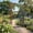 柚木, variant on Natural Cedar Arch Garden Arbor, 160*21*216cm, Durable Easy-Assemble for Climbing Plants, Brown